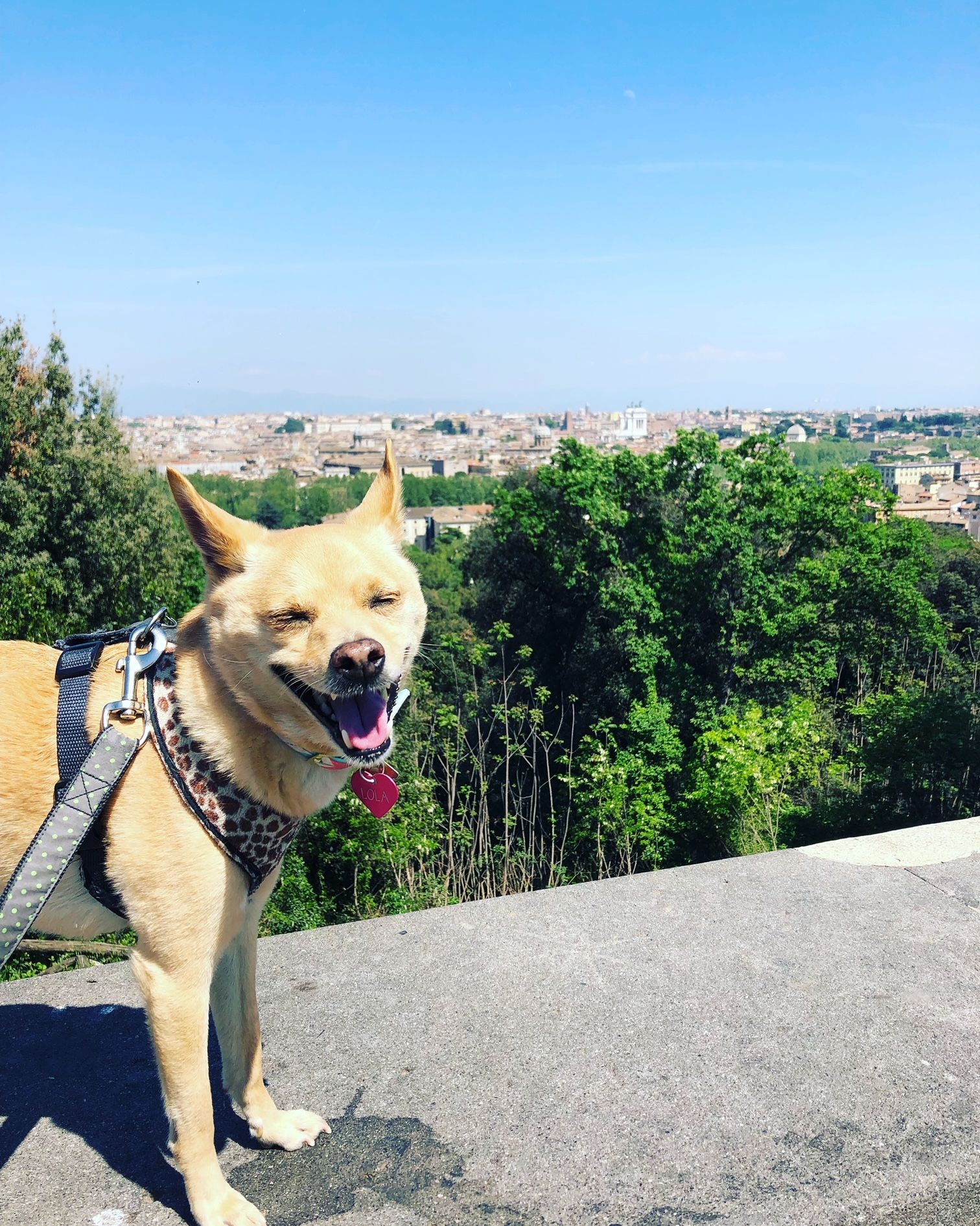 View from Gianicolo Hill in Rome.