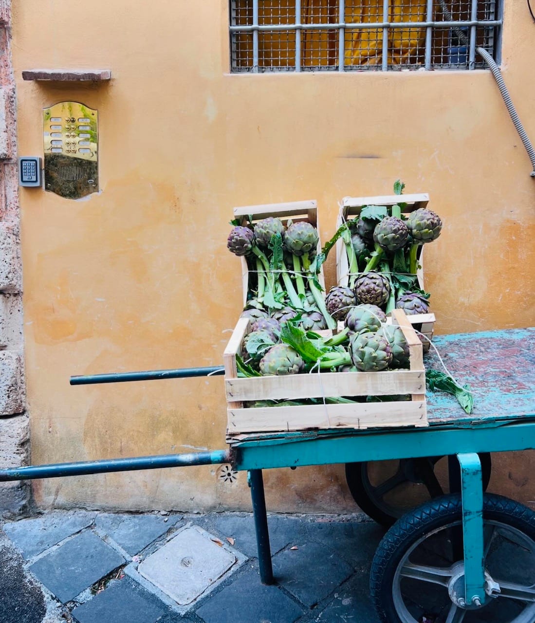 Fresh local artichokes in Rome, Italy