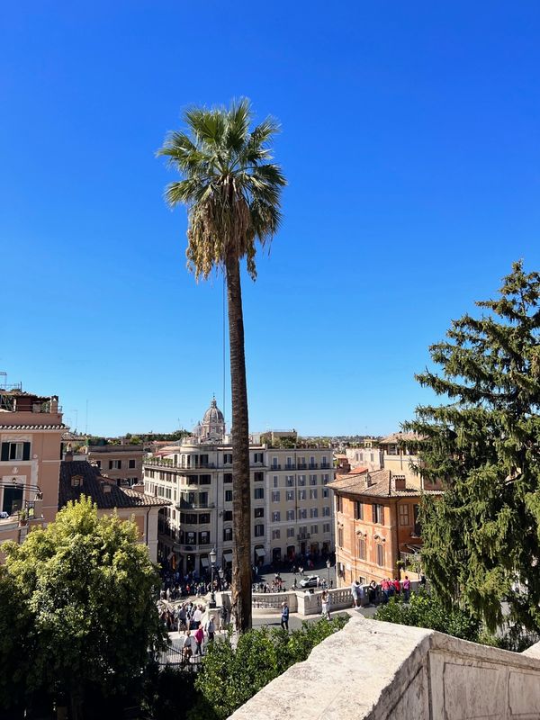 A beautiful September day in Rome, atop the Spanish Steps.